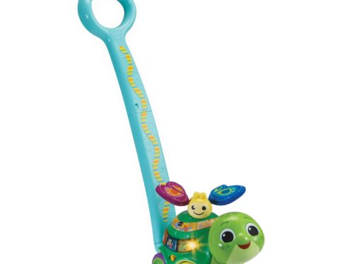 Vtech 2-IN-1 PUSH & DISCOVER TURTLE